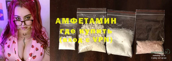 индика Армянск