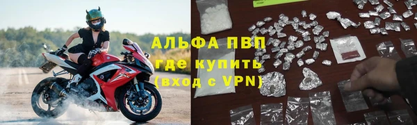 индика Армянск