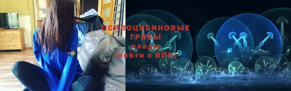 гидропоника Аркадак