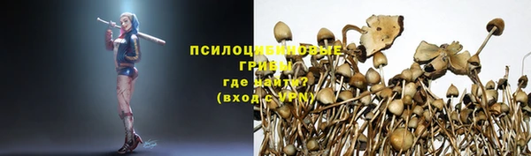 гидропоника Аркадак