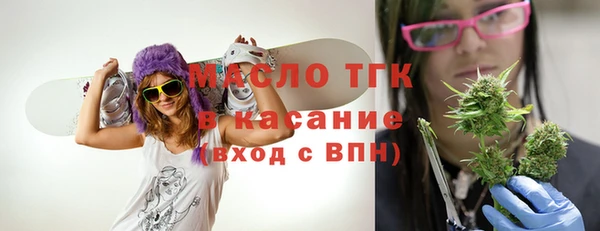 молекула духа Арсеньев