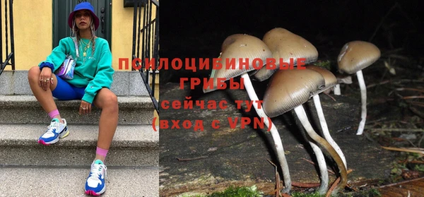 молекула духа Арсеньев