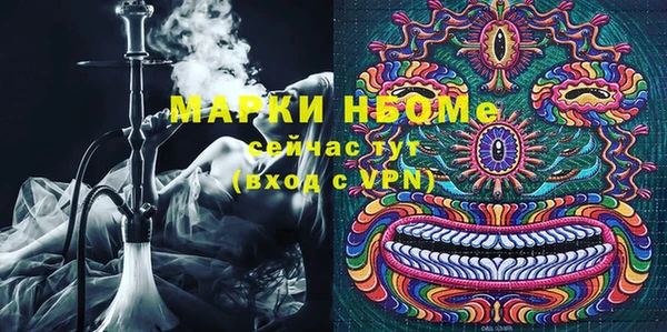 индика Армянск