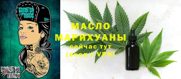 молекула духа Арсеньев