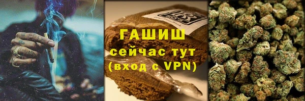 молекула духа Арсеньев