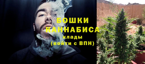 индика Армянск