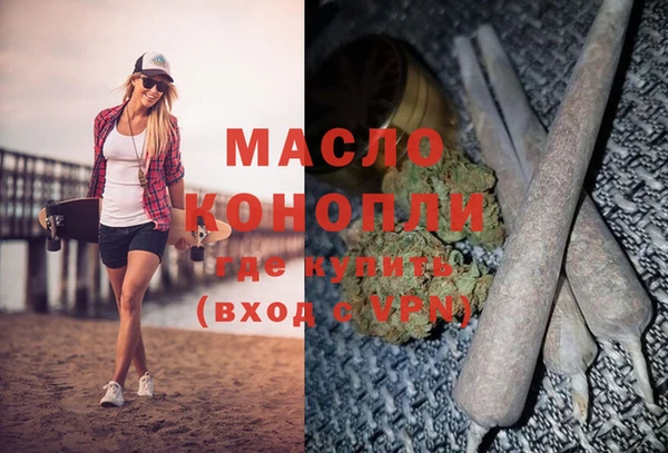 молекула духа Арсеньев