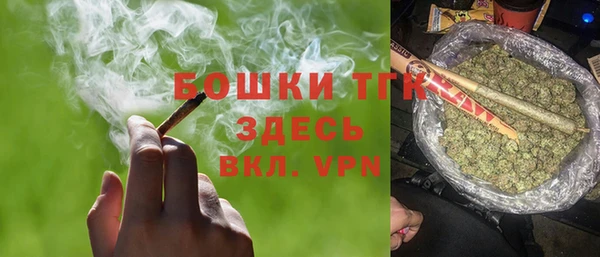 индика Армянск