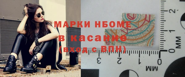 молекула духа Арсеньев