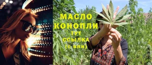 индика Армянск