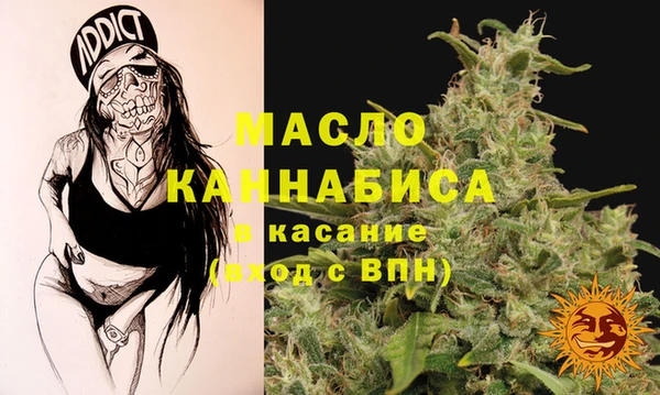 индика Армянск