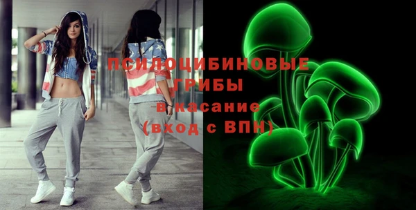 гидропоника Аркадак