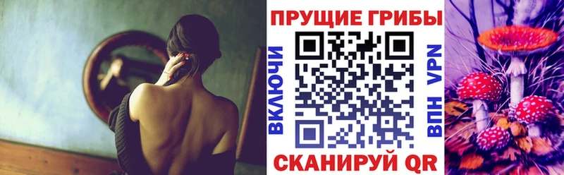 Псилоцибиновые грибы Psilocybine cubensis  Старая Купавна 